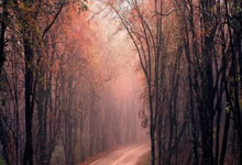 沃特福德绝杀布莱顿，豪取三分