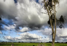 激情足球盛事大幕即将拉开，球员和球迷齐欢笑