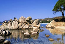 亚眠在法国联赛中遭遇连败